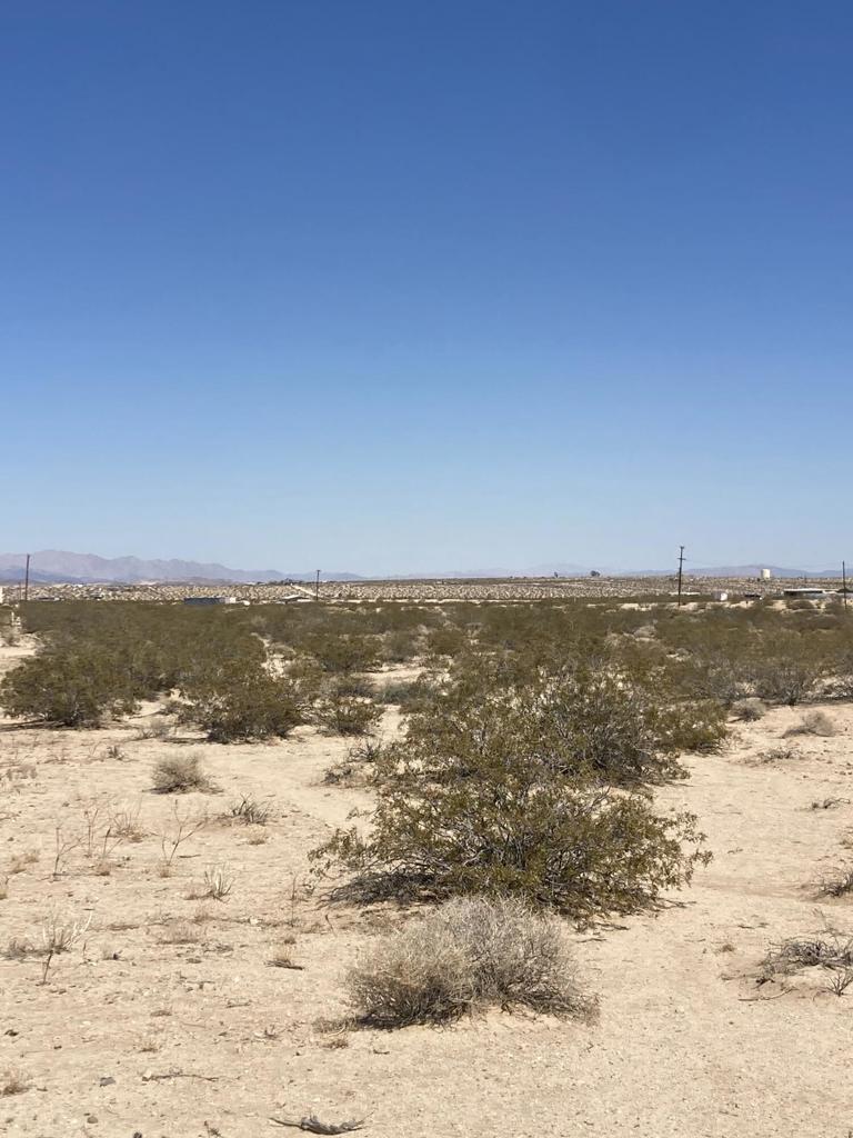 MLS #219133756DA image #7