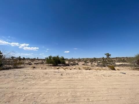 MLS #219133815DA image #1