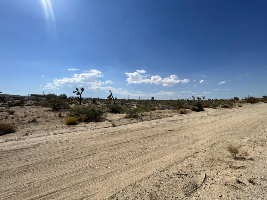 MLS #219133815DA image #10