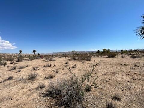 MLS #219133815DA image #2