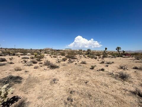 MLS #219133815DA image #3