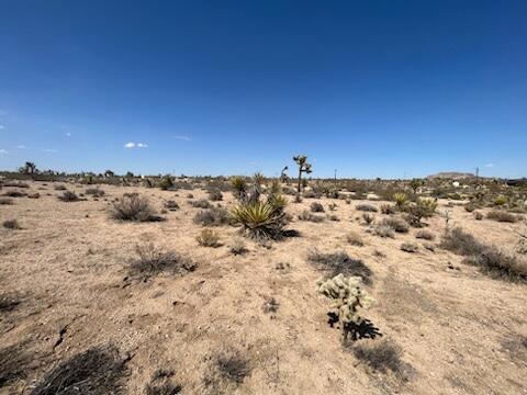 MLS #219133815DA image #4