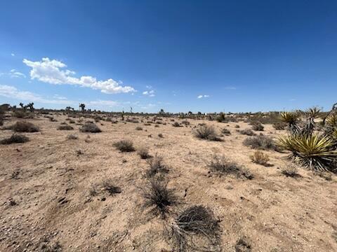 MLS #219133815DA image #5