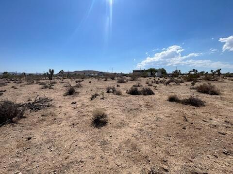 MLS #219133815DA image #6