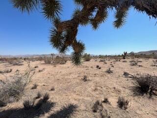 MLS #219133815DA image #7