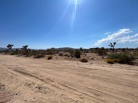 MLS #219133815DA image #8