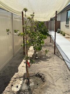 MLS #219133836DA image #36