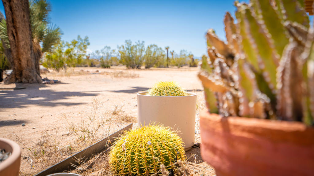 MLS #219133845DA image #62