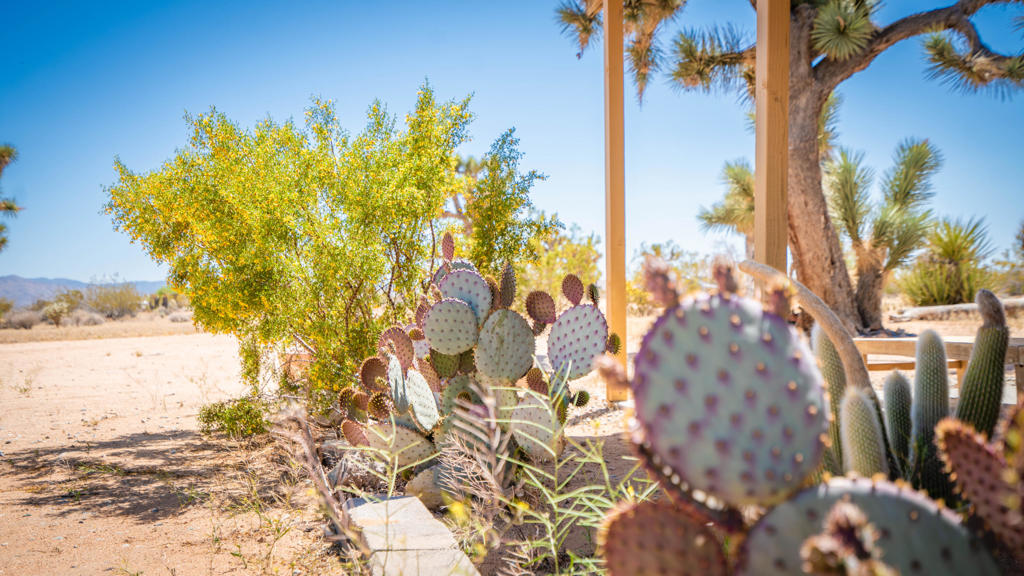 MLS #219133845DA image #64