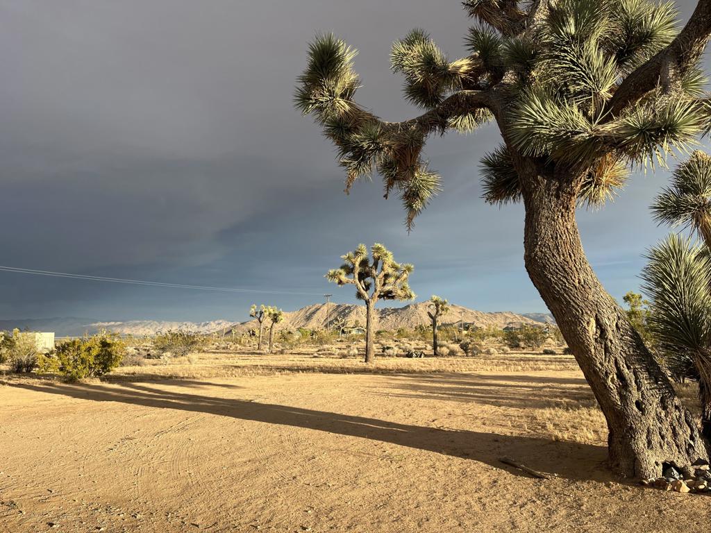 MLS #219133845DA image #69