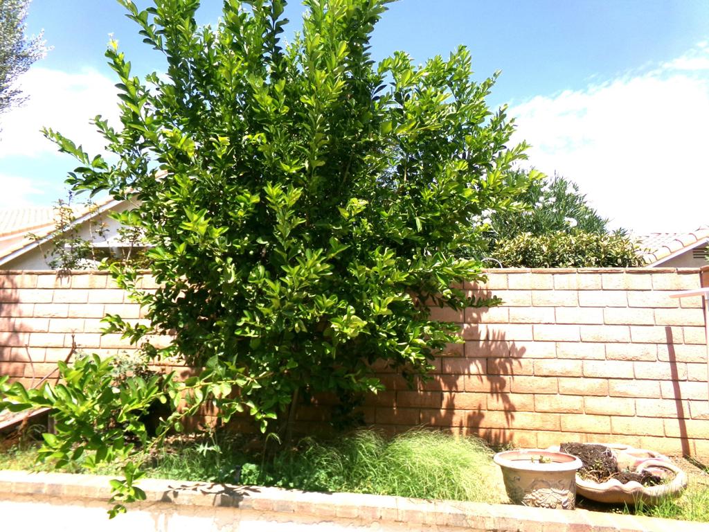 MLS #219133864DA image #17