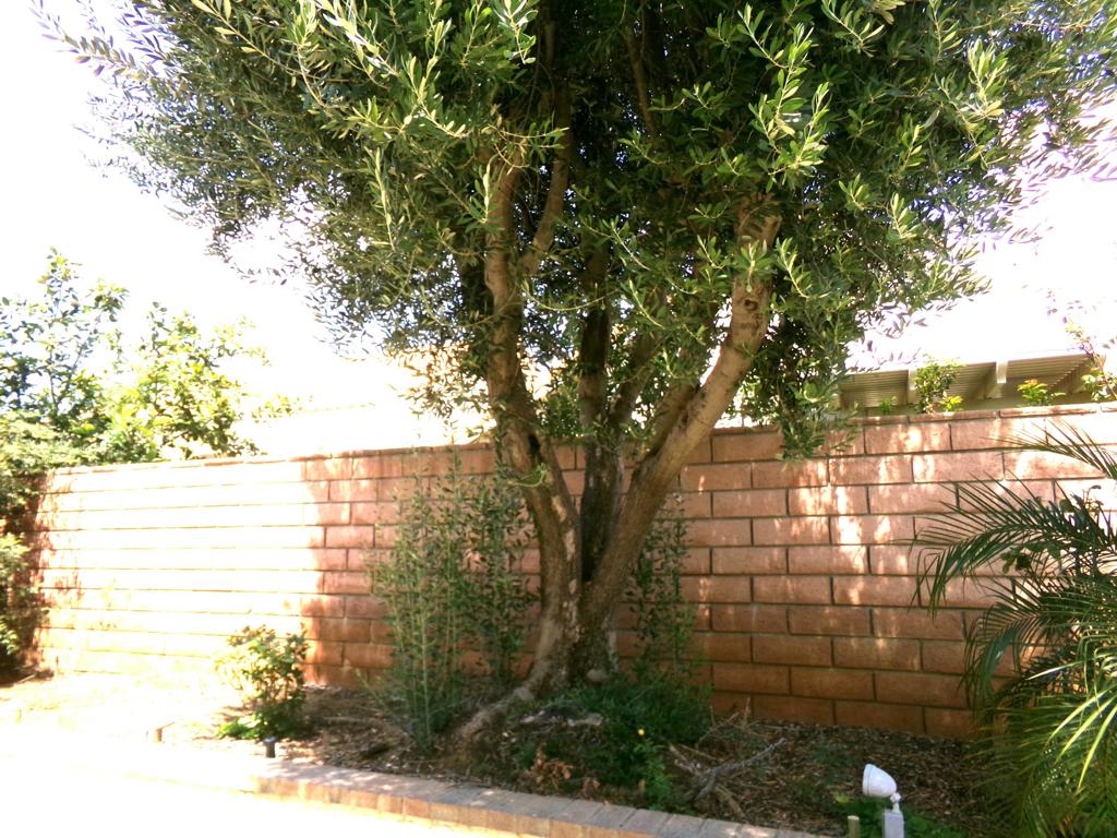 MLS #219133864DA image #20