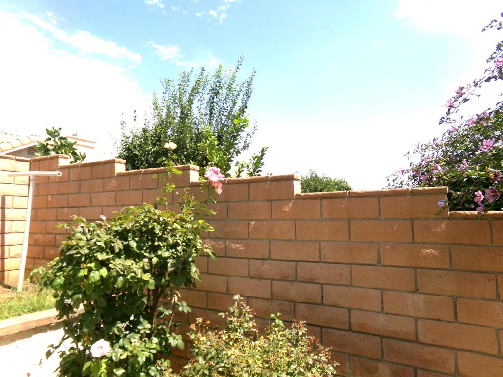 MLS #219133864DA image #21