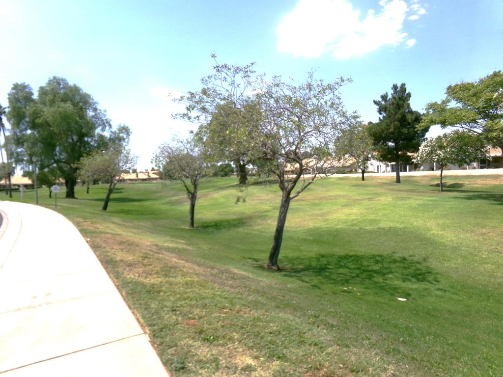 MLS #219133864DA image #24