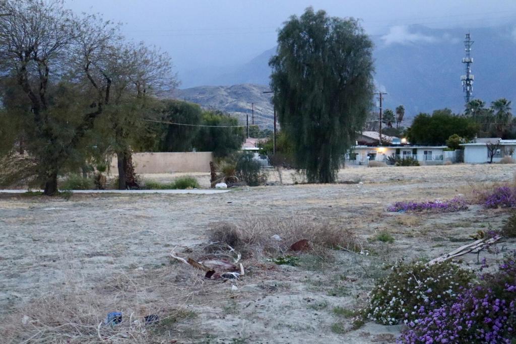 MLS #219121312DA image #4