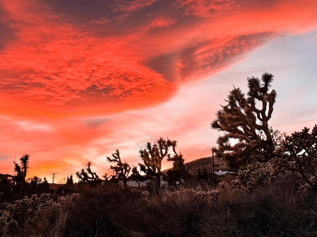 MLS #219133932DA image #38