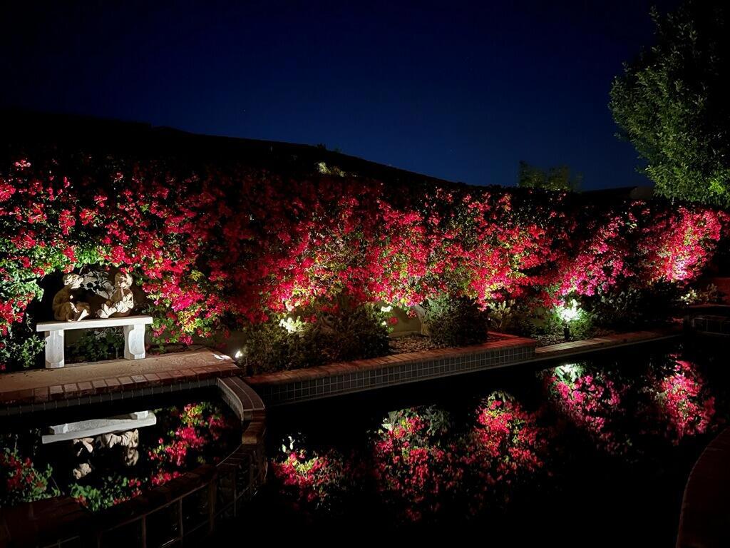 MLS #219134028DA image #49