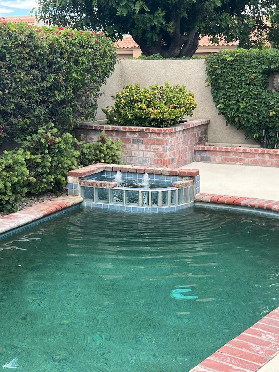 MLS #219134028DA image #6