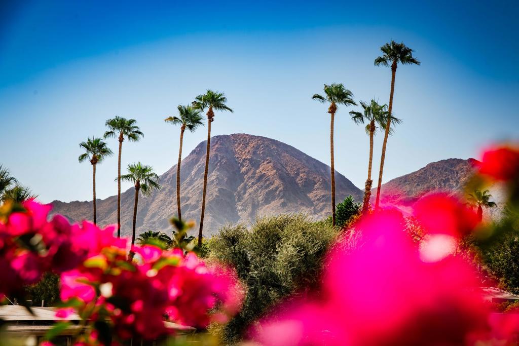 MLS #219134069DA image #29