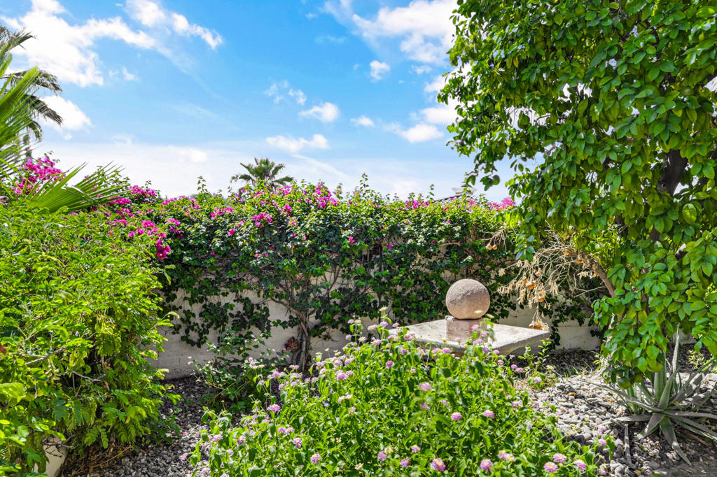 MLS #219134150DA image #28