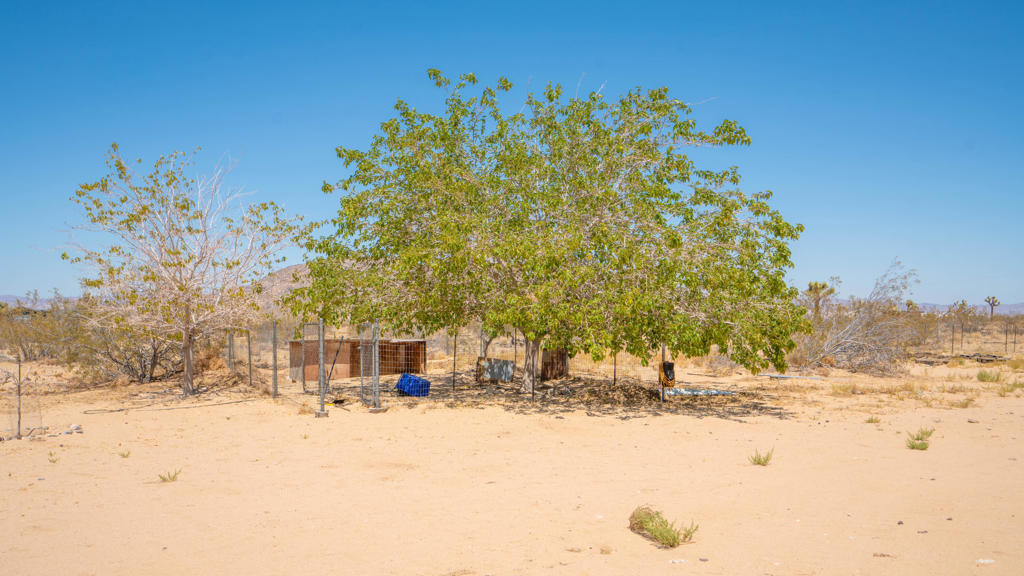 MLS #219134333PS image #24