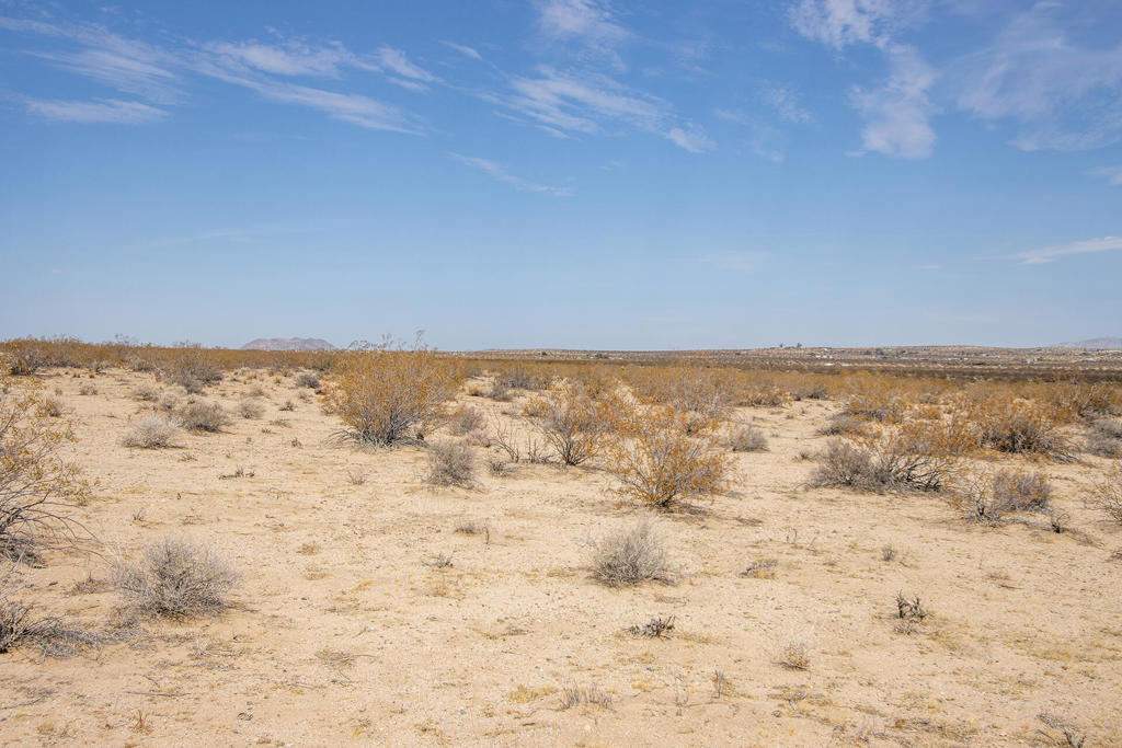 MLS #219134339DA image #14