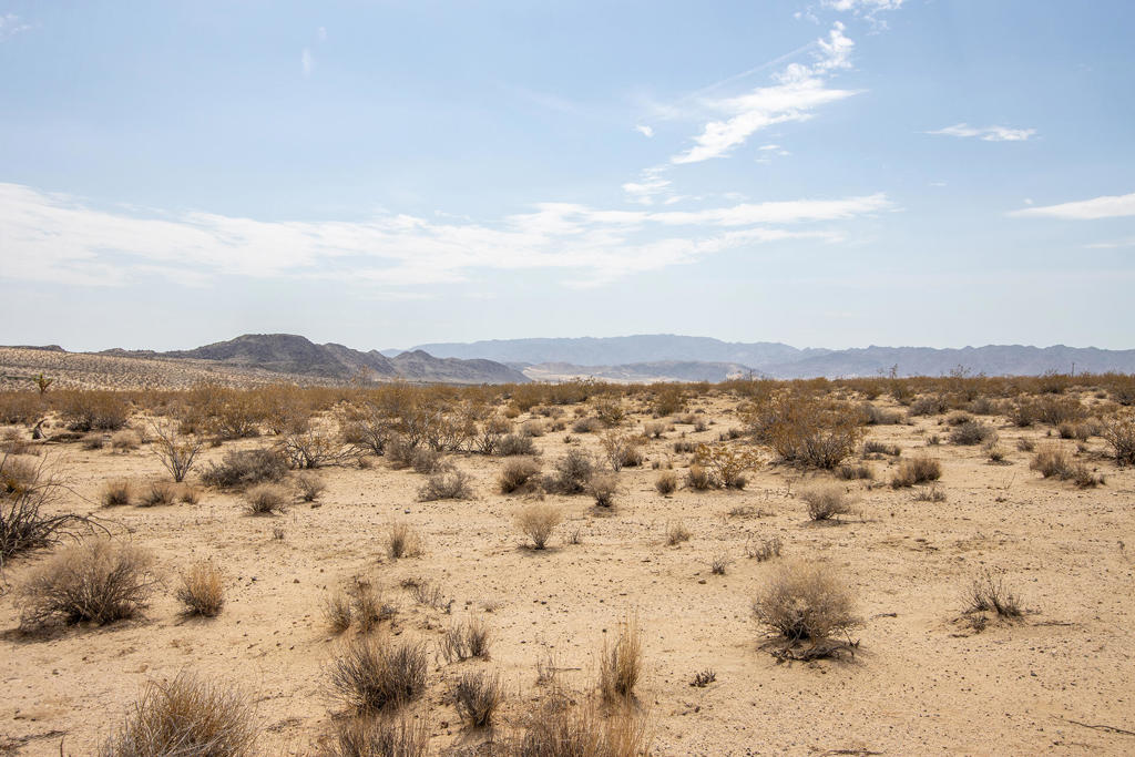 MLS #219134339DA image #16