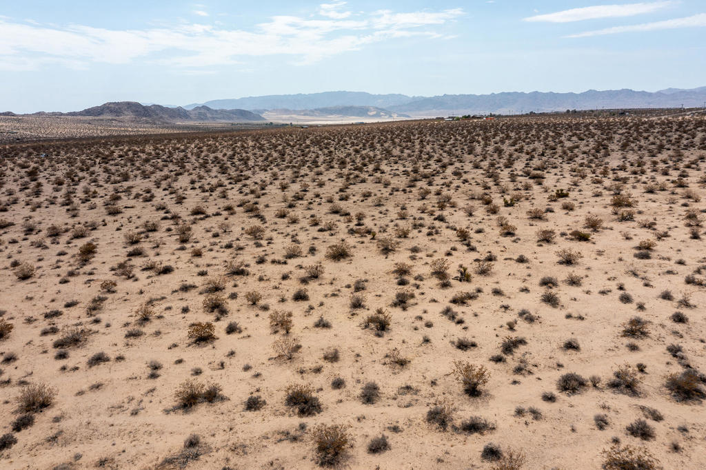 MLS #219134339DA image #5