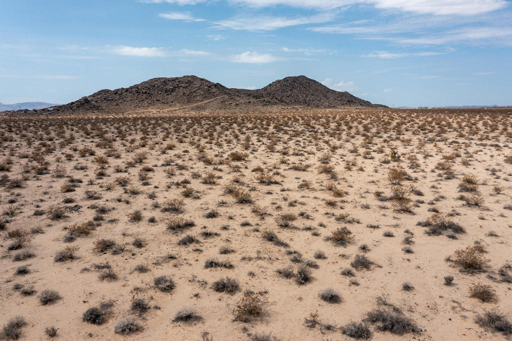 MLS #219134339DA image #6