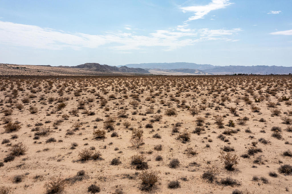 MLS #219134339DA image #7