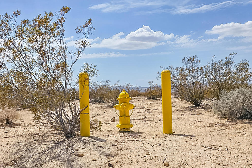 MLS #219134341DA image #1