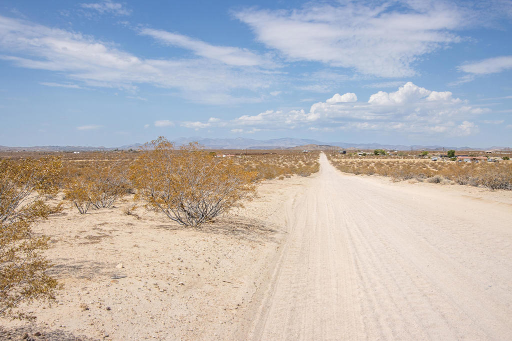 MLS #219134341DA image #15