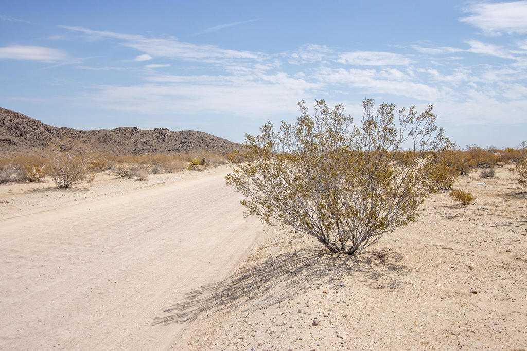 MLS #219134341DA image #16