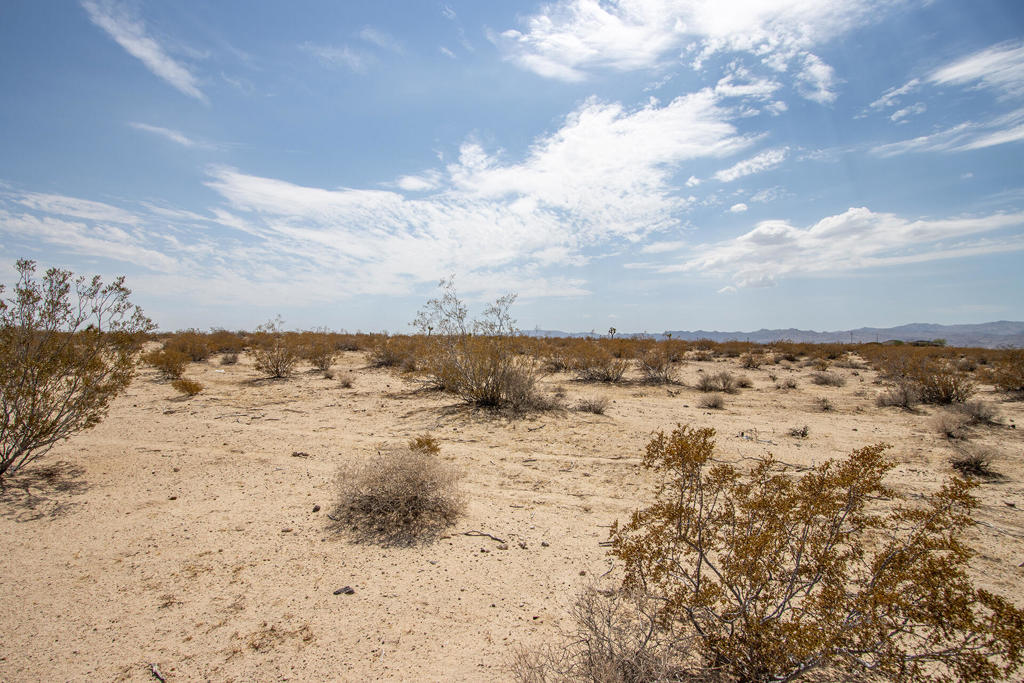 MLS #219134341DA image #17