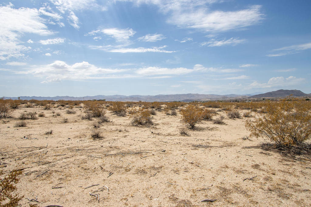 MLS #219134341DA image #18