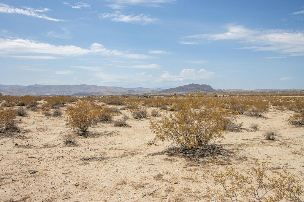 MLS #219134341DA image #19