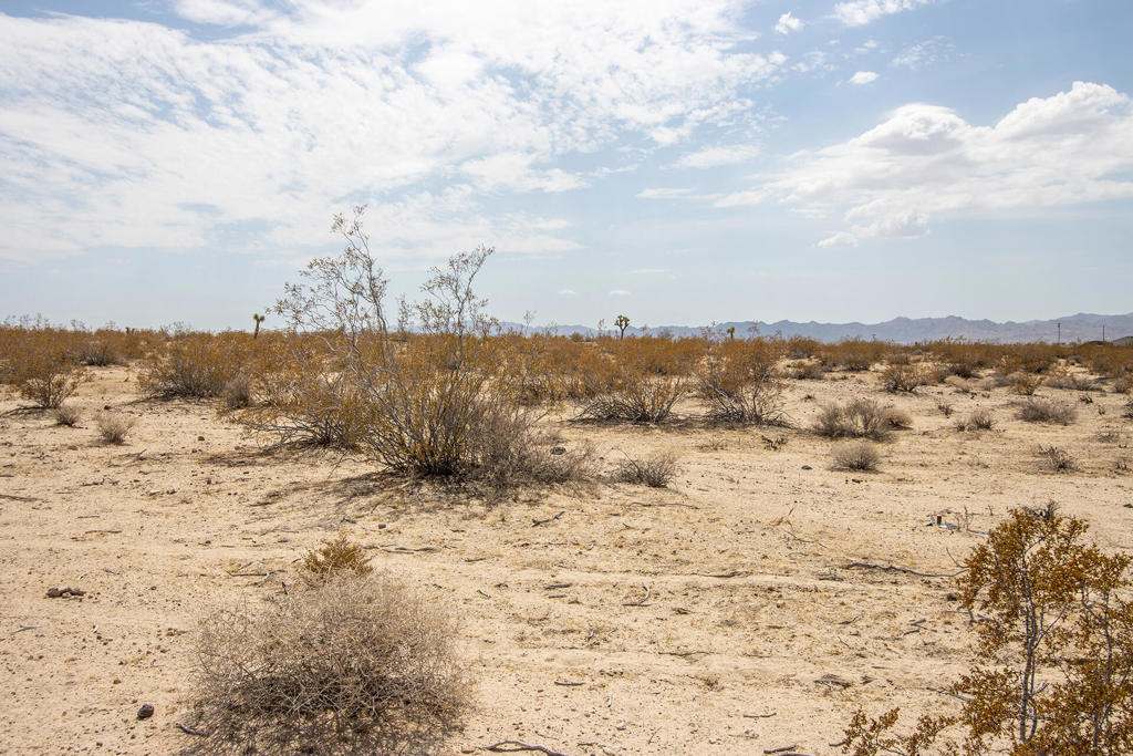 MLS #219134341DA image #20