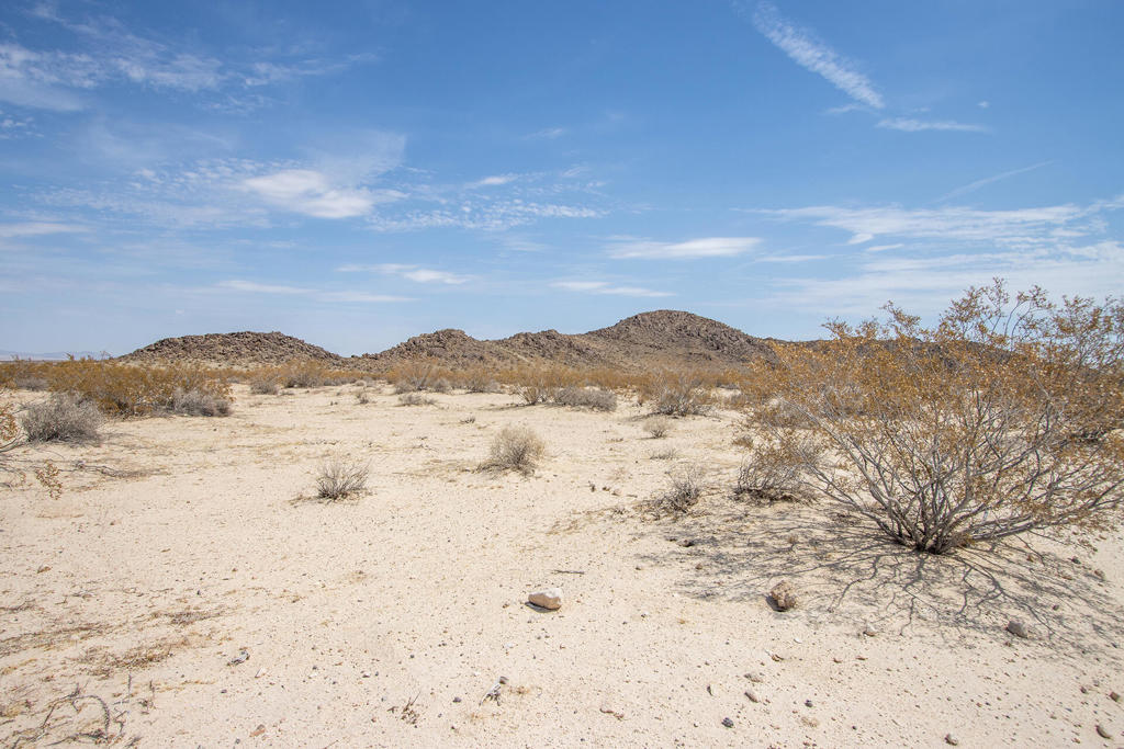 MLS #219134341DA image #21