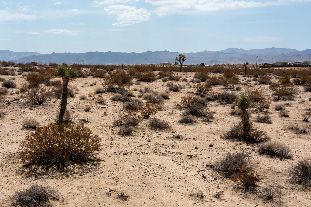 MLS #219134341DA image #25