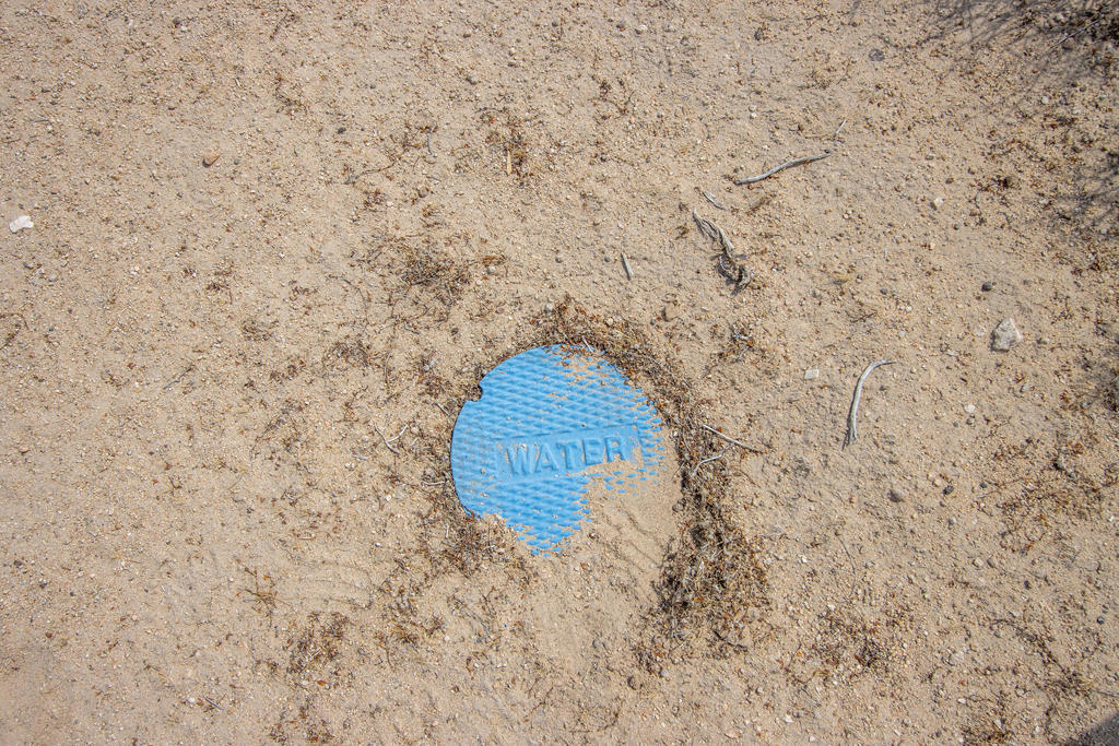 MLS #219134341DA image #4