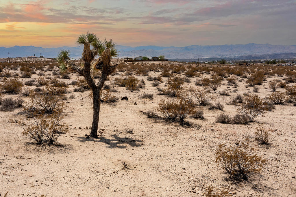 MLS #219134341DA image #5