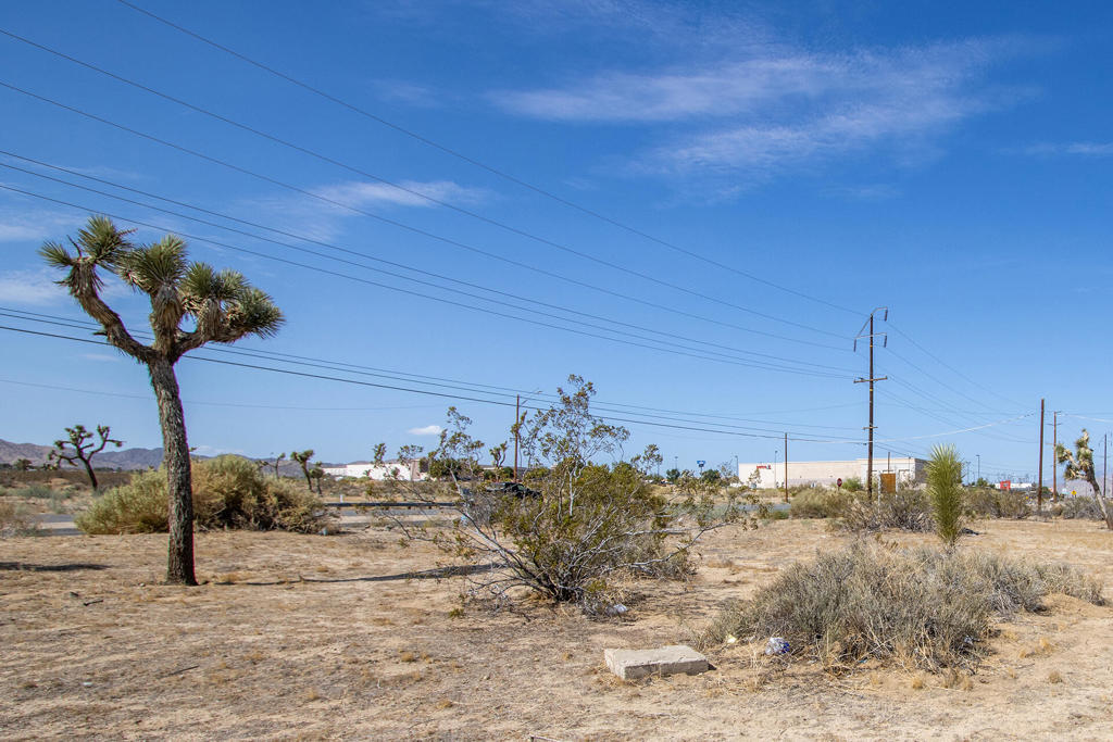 MLS #219134345DA image #11