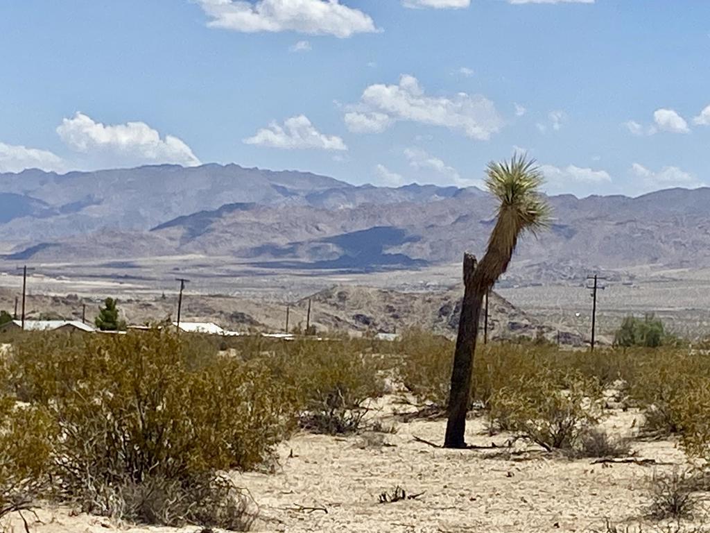 MLS #219134434PS image #12