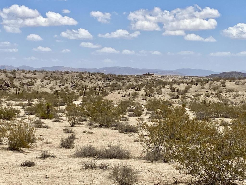 MLS #219134434PS image #23