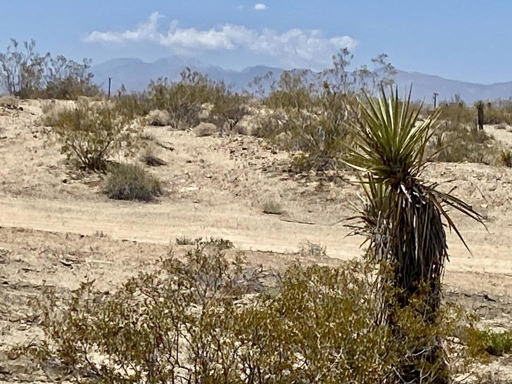 MLS #219134434PS image #26