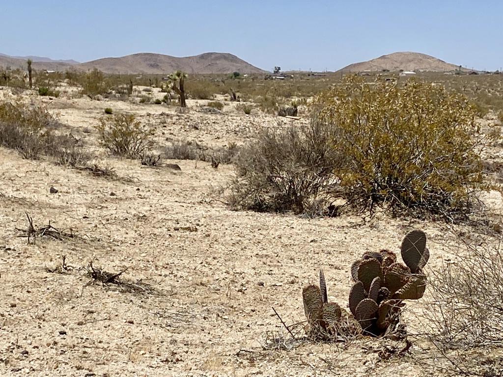 MLS #219134434PS image #8