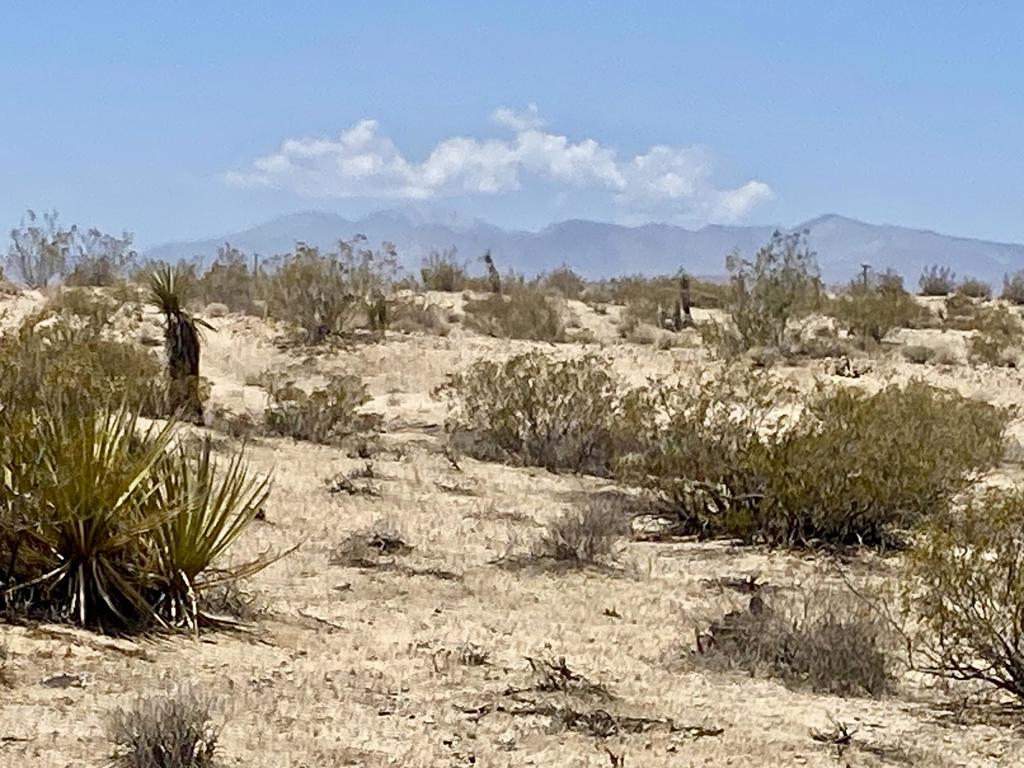 MLS #219134434PS image #9