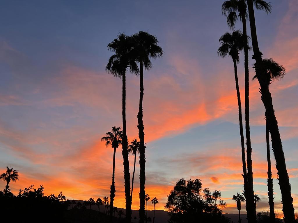 MLS #219134447DA image #12