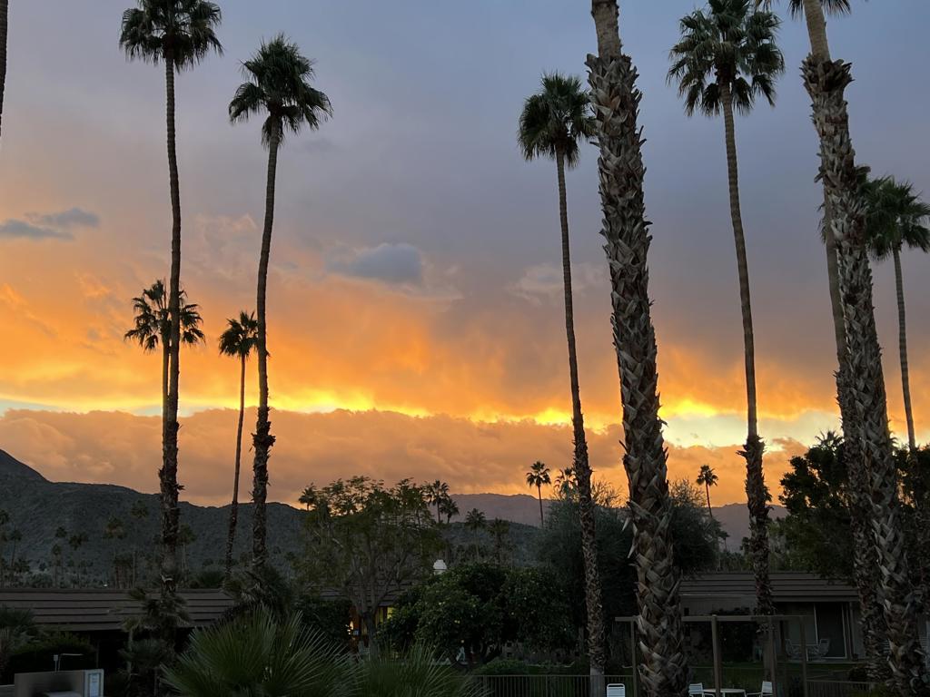 MLS #219134447DA image #13