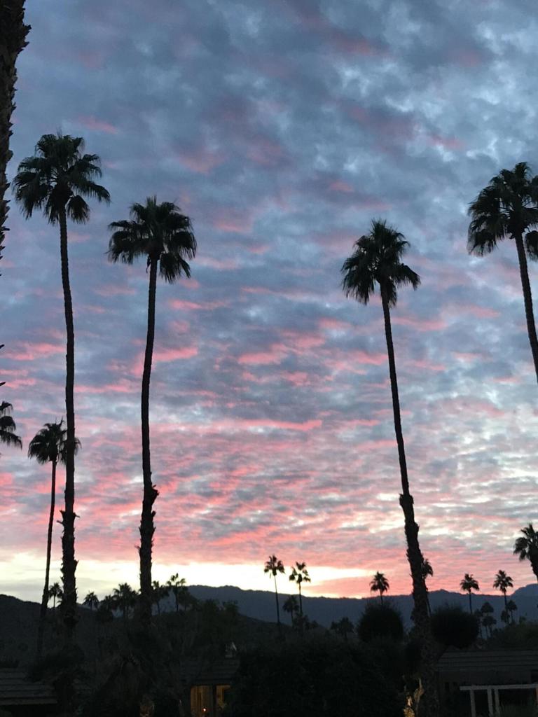 MLS #219134447DA image #14